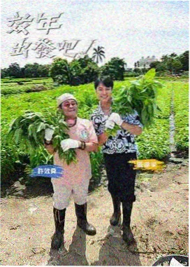 78影视《周末厨房》综艺节目在线观看